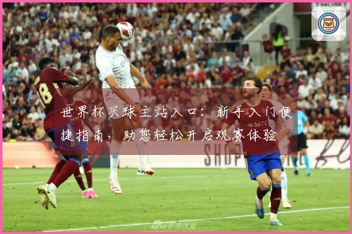 世界杯买球主站入口：新手入门便捷指南，助您轻松开启观赛体验