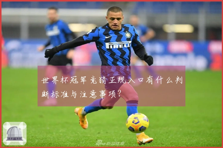 世界杯冠军竞猜正规入口有什么判断标准与注意事项？