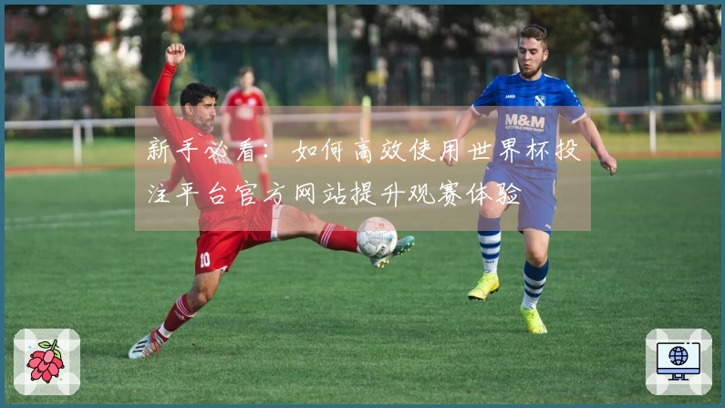 新手必看：如何高效使用世界杯投注平台官方网站提升观赛体验