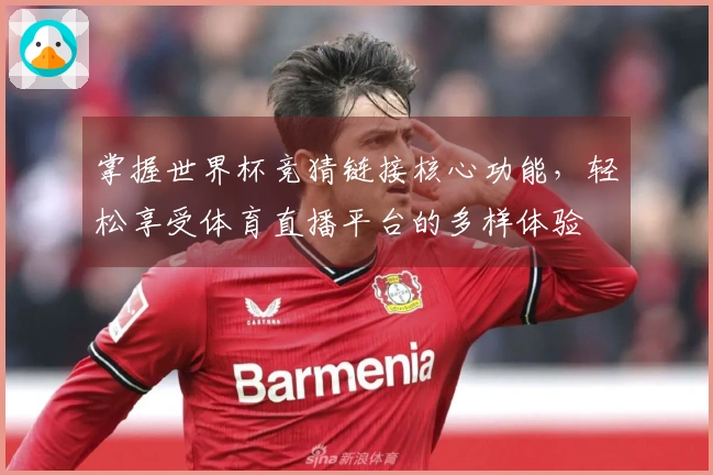 掌握世界杯竞猜链接核心功能，轻松享受体育直播平台的多样体验