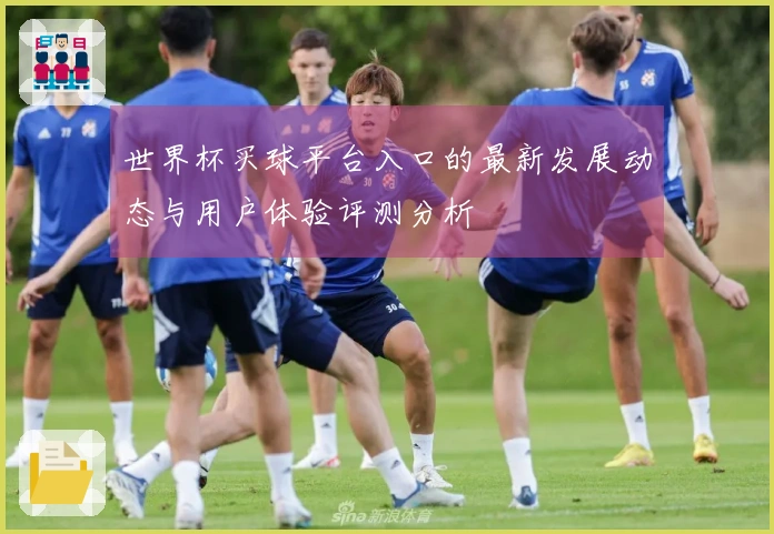 世界杯买球平台入口的最新发展动态与用户体验评测分析