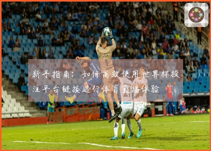 新手指南：如何高效使用世界杯投注平台链接进行体育直播体验