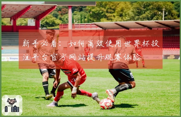 新手必看:如何高效使用世界杯投注平台官方网站提升观赛体验