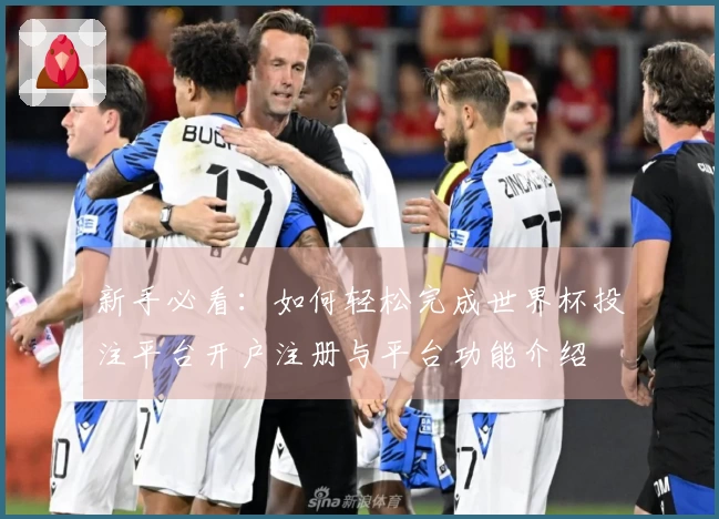 新手必看：如何轻松完成世界杯投注平台开户注册与平台功能介绍