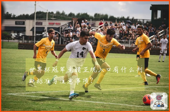世界杯冠军竞猜正规入口有什么判断标准与注意事项？