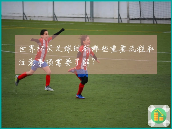 世界杯买足球时有哪些重要流程和注意事项需要了解?