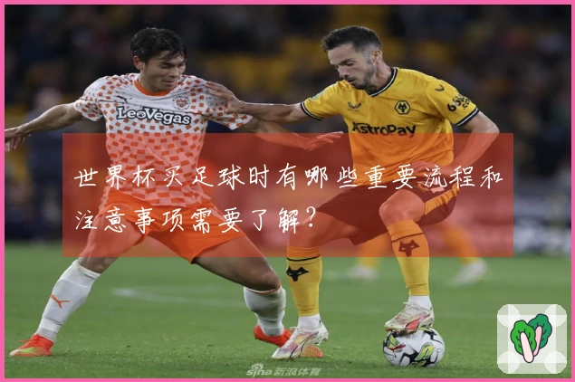 世界杯买足球时有哪些重要流程和注意事项需要了解？